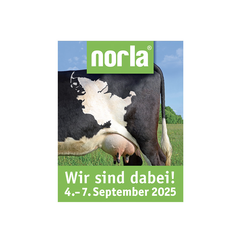 Logo norla 25